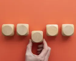 Estrutura dos projetos de pesquisa