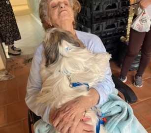 Paciente recebe visita pet durante internação no Hospital São José